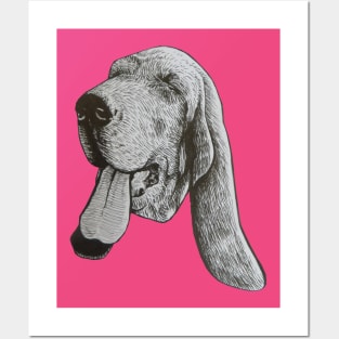 Snefred the Basset Hound Posters and Art